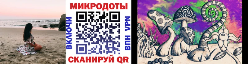 Галлюциногенные грибы Psilocybe  Славск 